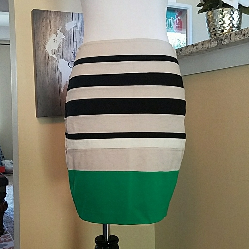 Express skirt